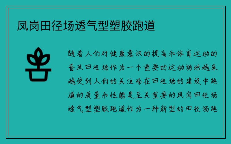 凤岗田径场透气型塑胶跑道